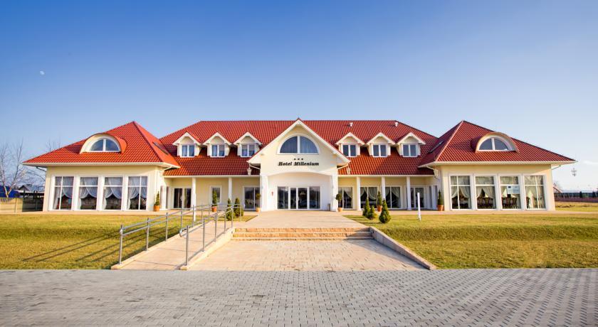 Отель Hotel Millenium