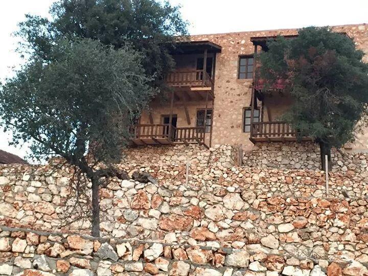 Отель Apollonia Lodge