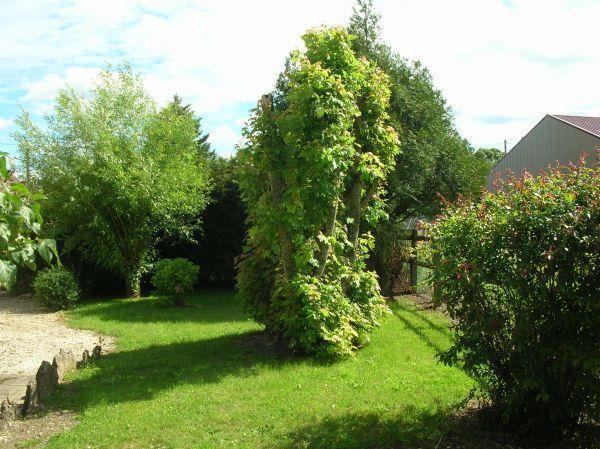 Апартаменты La Vigne