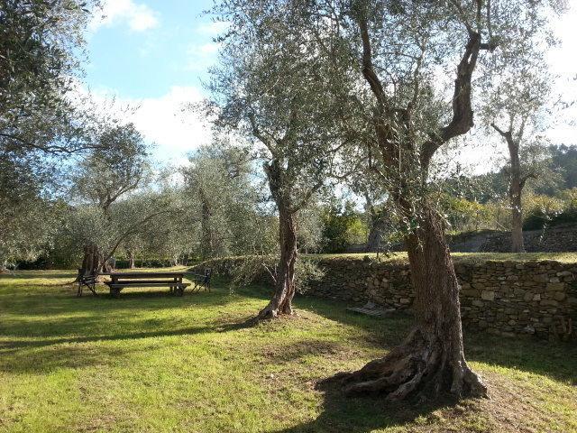 Отель Agricamping La Villa