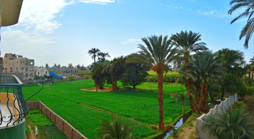 Farida apartment