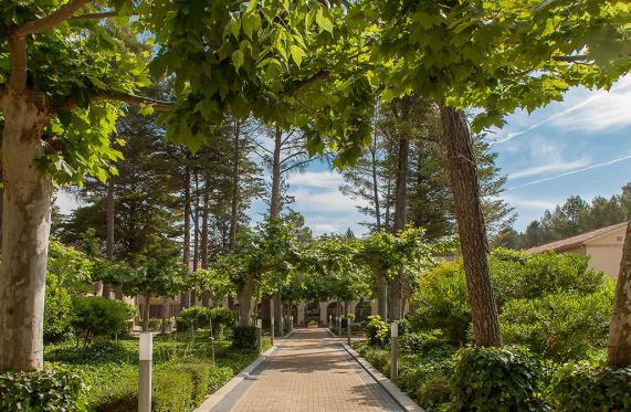 Отель Hotel Golf Cofrentes