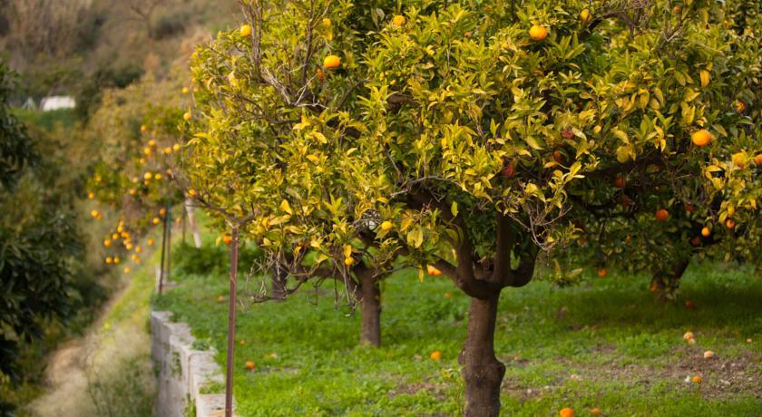 Апартаменты Finca La Herradura