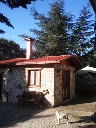 Вилла Villa Gargano Borgo Antico