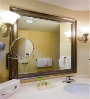 Отель Holiday Inn Chantilly-Dulles Expo Airport