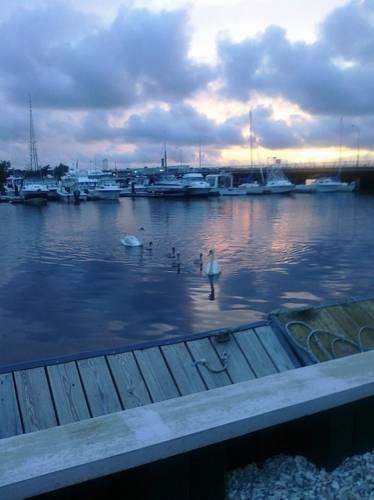 Отель Seaport Inn and Marina