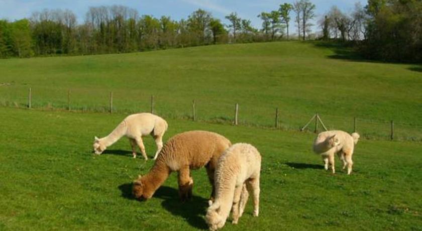 Отель Farmstay Alpagâterie