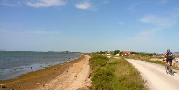 Отель Camping du domaine du MARIN'PALM