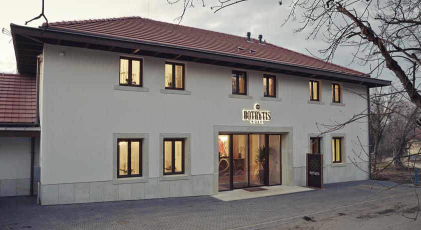 Отель Botrytis Hotel