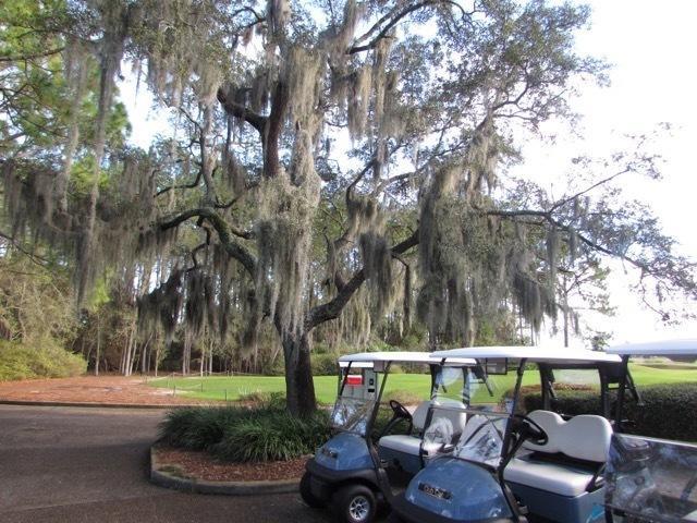 Отель Osprey Cove Suites & Golf Club