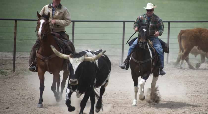 Отель Colorado Cattle Company and Guest Ranch