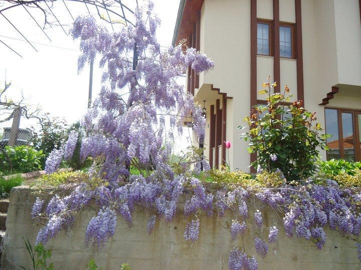 Gezegen Villa