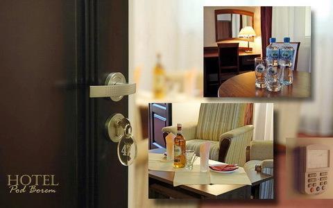 Отель Hotel pod Borem