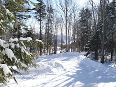 Вилла Wintergreen North at Chittenden