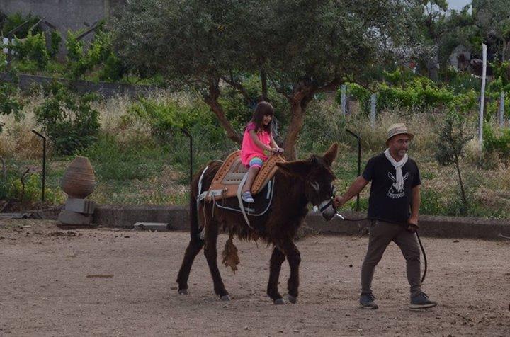 Отель Casa de Burros