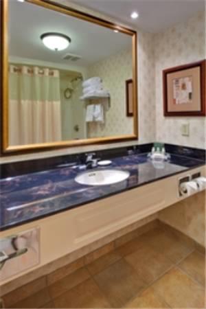 Отель Holiday Inn Hotel & Suites Mississauga