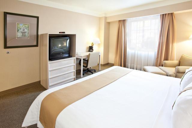 Отель Holiday Inn Leon-Convention Center