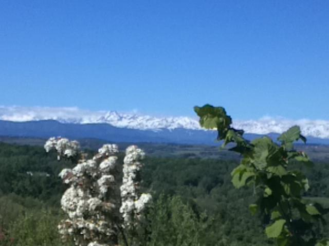 Апартаменты Holiday home Ferme Beauregard Les Pyrénées