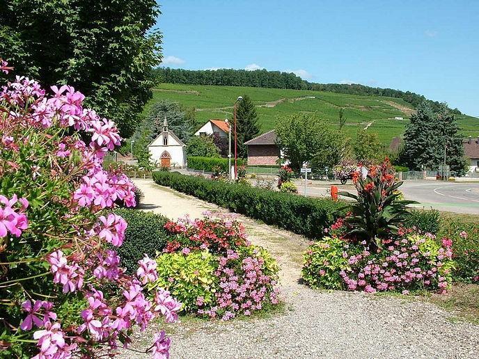 Апартаменты Vigneronne
