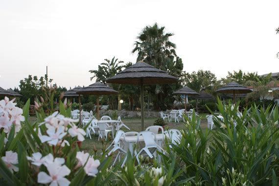 Отель Villaggio Camping Calypso