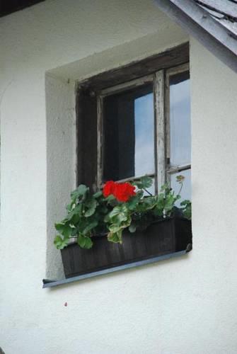 Апартаменты Ferienwohnung Lichtenegger