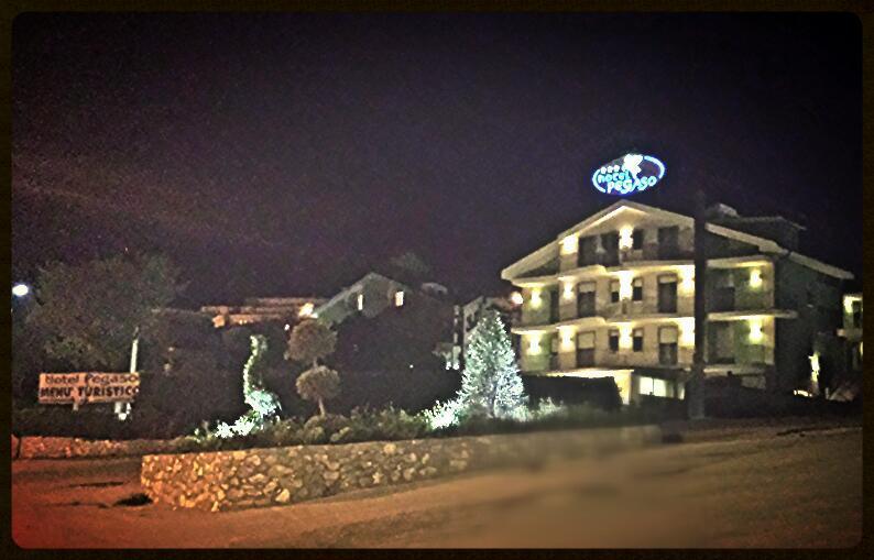 Отель Hotel Pegaso