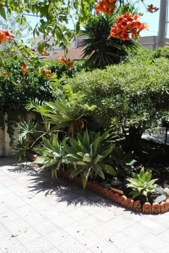Апартаменты Villa Frida