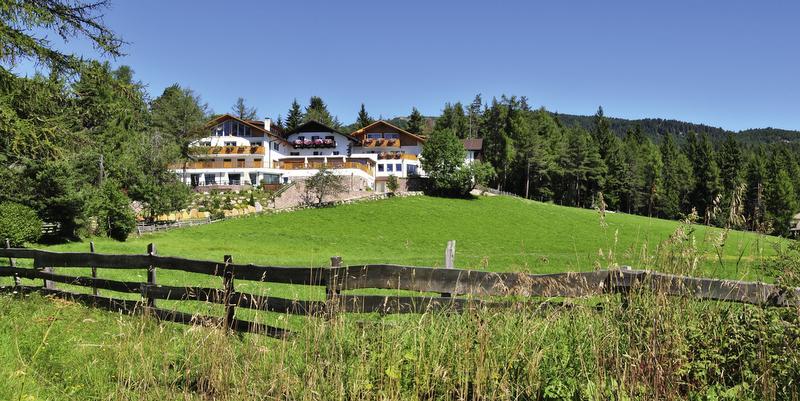Отель Hotel Tann
