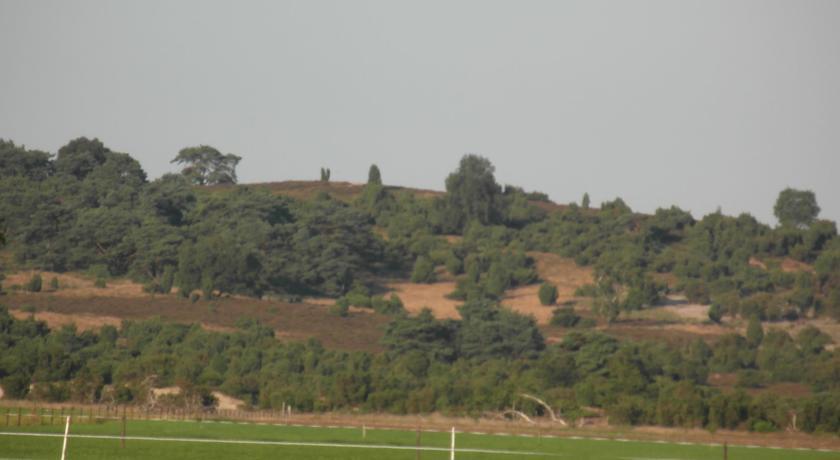 Апартаменты Buitenplaats Berg en Bos IV