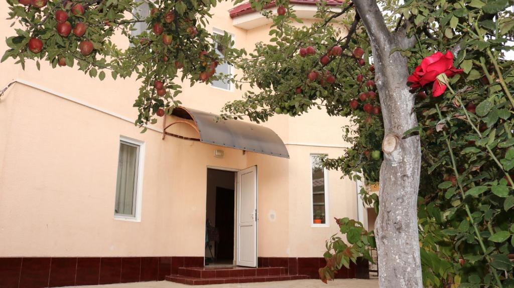 Гостиница Mini Pansionat Kalinka
