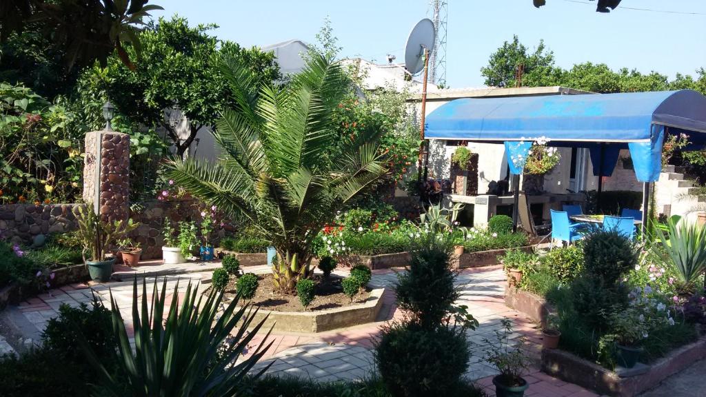 Гостевой дом Guest House Roman/Gonio