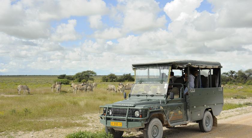 Отель Etosha Village