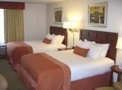 Отель Wingate By Wyndham-Tampa USF/Busch Gardens