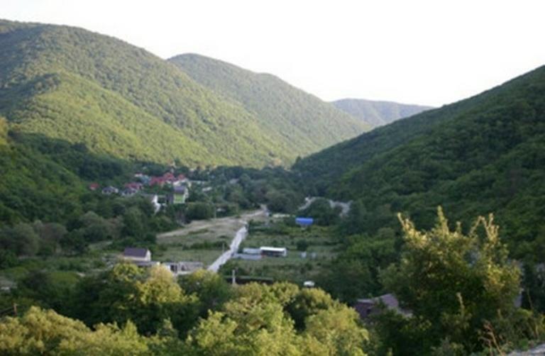 Апартаменты Домик в лесу