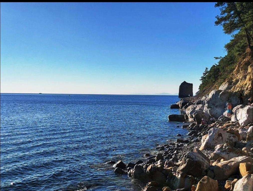 Гостиница Загородный Дом Альбатрос
