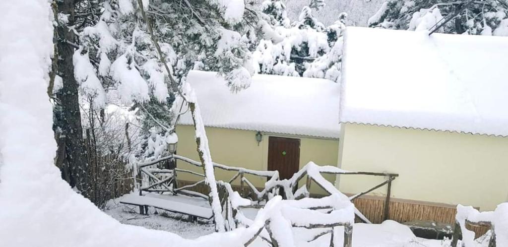 Гостевой дом Art Guest House