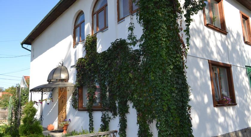 Гостиница Mini-hotel Oasis