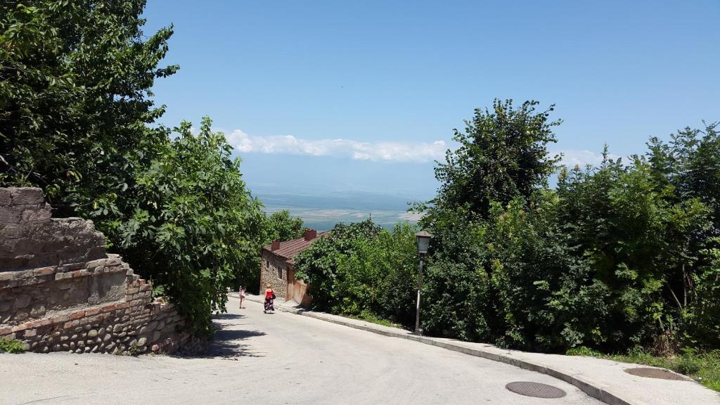 Мини-отель Guest House Shota