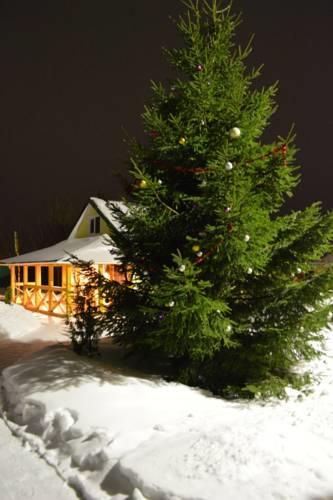 Гостиница Holiday Home На Механизаторов