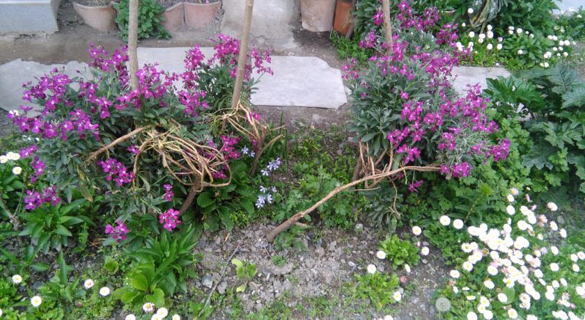Гостевой дом Guest House Duruji