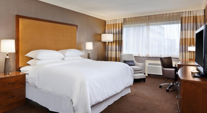 Отель Sheraton at the Falls