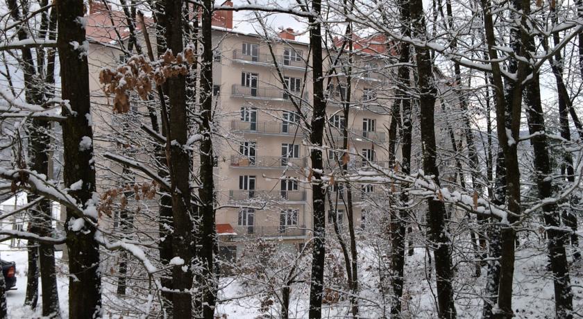 Апартаменты Apartment Polyana Zakarpatiya