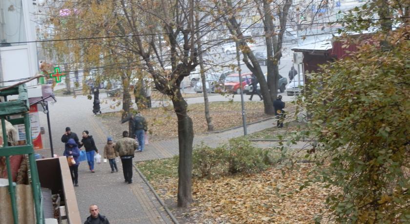 Апартаменты Apartment close to Roshen fountain