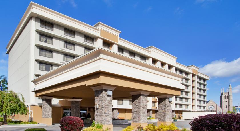 Отель Holiday Inn-Niagara Falls