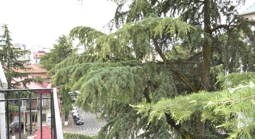 Apartment Natia