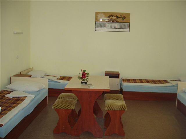 Гостиница Mini-hotel REAL