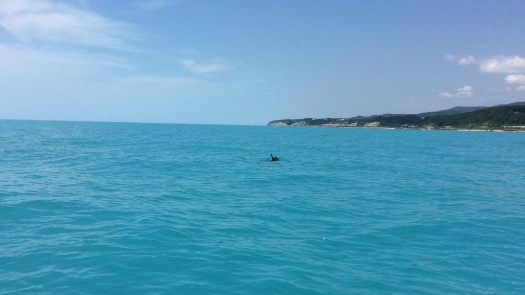 Гостевой дом На Черном Море