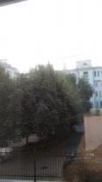 Петербургский Дом