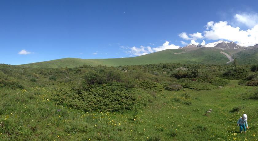 Гостиница Aylu Camping