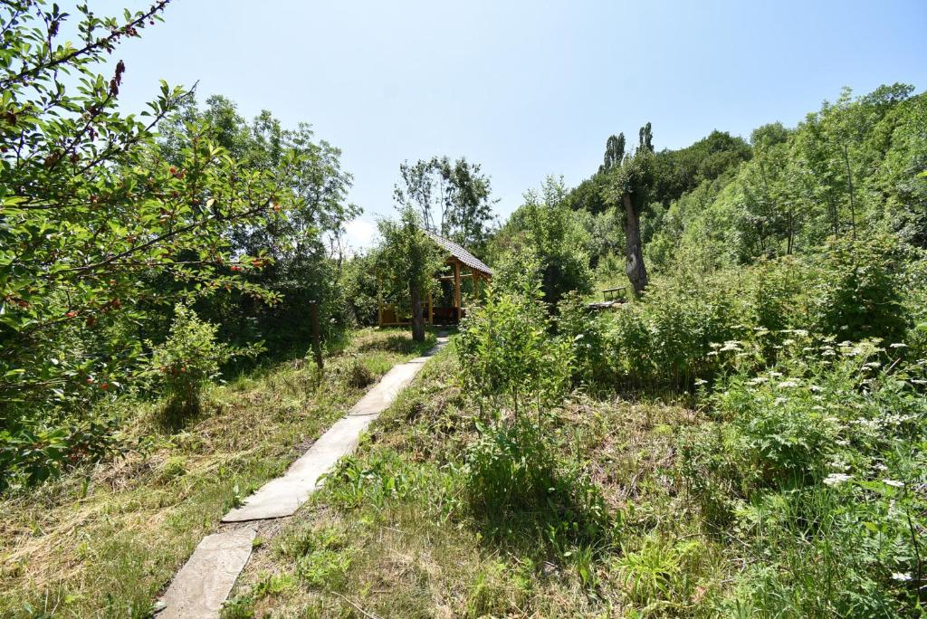 Гостевой дом Guest House Arsan